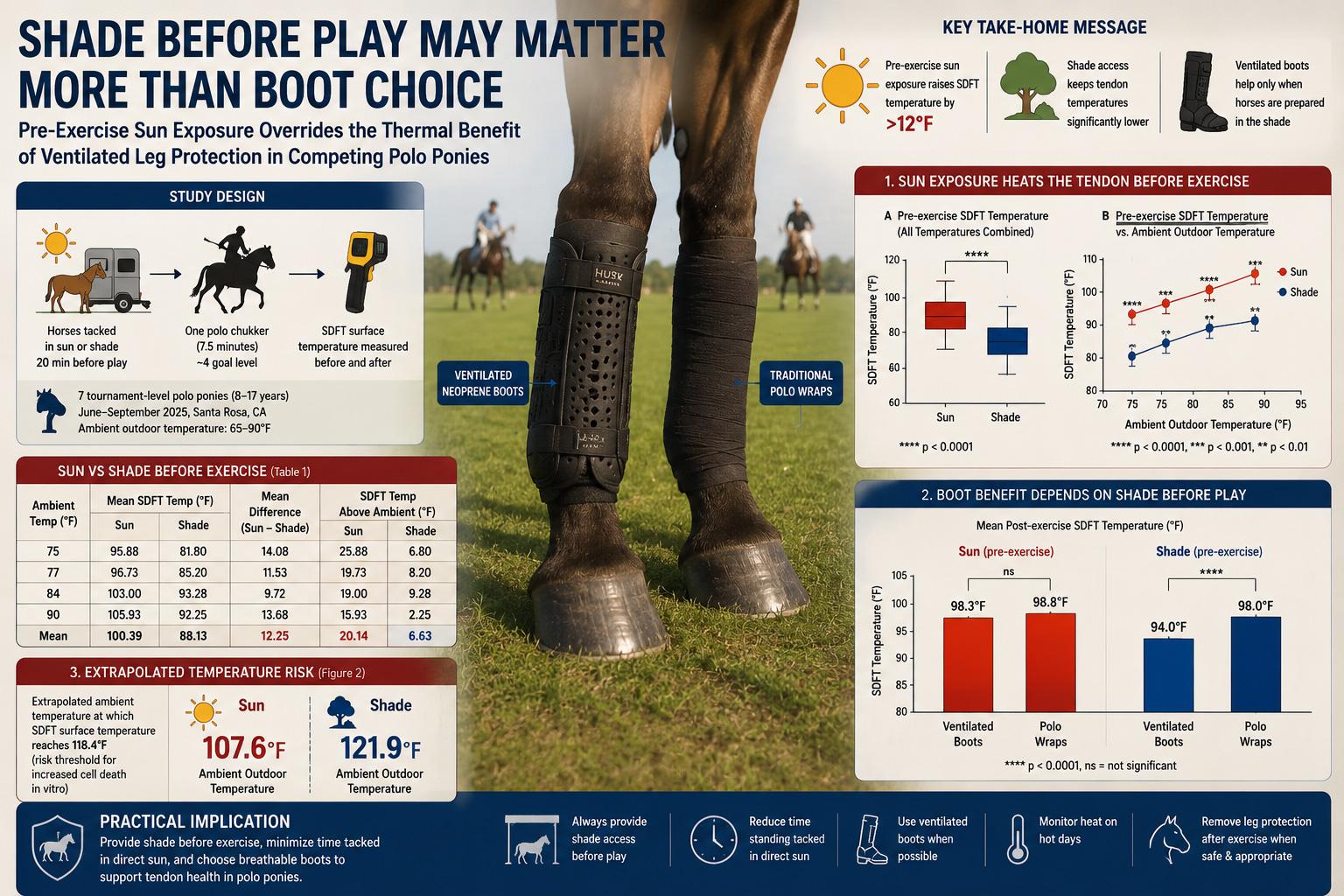Shade Before Play May Matter More Than Boot Choice: A Preprint Study on Tendon Heat in Polo Ponies