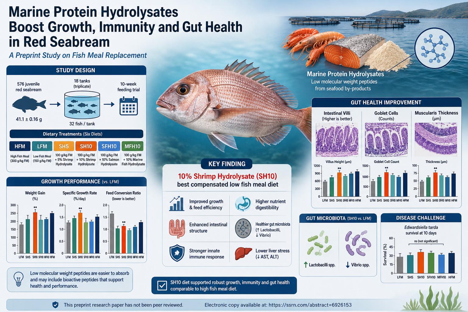 Can Marine Protein Hydrolysates Replace Fish Meal in Red Seabream Diets? A Preprint Study Points to Shrimp Hydrolysate as a Functional Aquafeed Ingredient